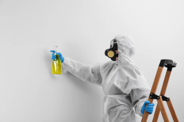 Why You Should Choose Our Mold Remediation Services in Forreston, IL