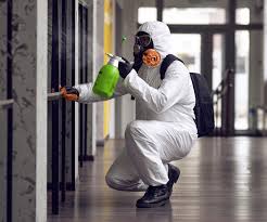 Forreston, IL Mold Removal Company